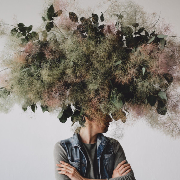 The Missing Link Why Your Manifestations Aren’t Showing Up Yet The Frustration Of Almost Card